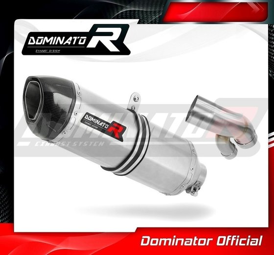 BW083DF-H Dominator homologated exhaust silencer hp1