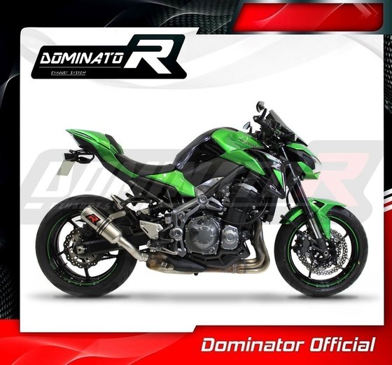 KA055DC-H Dominator homologated exhaust silencer gp