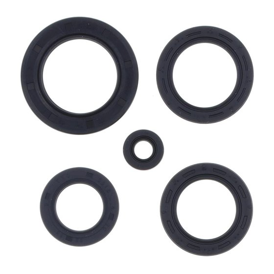 P400210400118 ATHENA engine oil seals kit