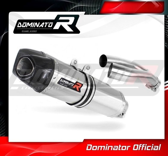 YA007DF-S Dominator exhaust silencer hp1