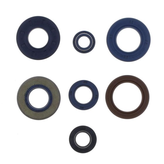 P400130400204/1 ATHENA engine oil seals kit