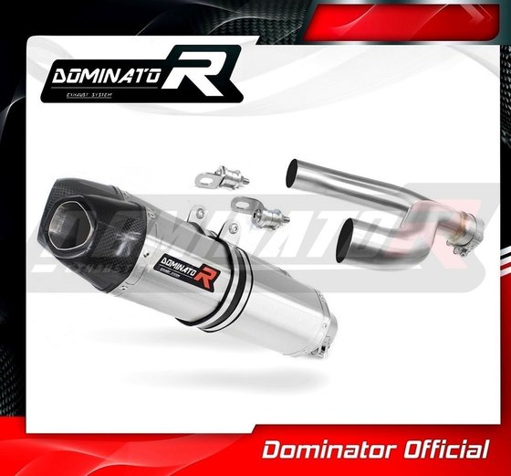 AP009DF-S Dominator exhaust silencer hp1