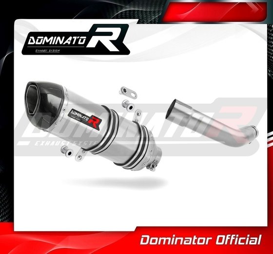 PG004DF-S Dominator exhaust silencer hp1