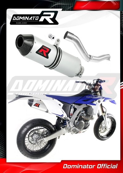 YA100DF-S Dominator exhaust silencer mx2