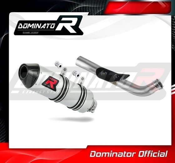 YA136DF-S Dominator exhaust silencer mx2