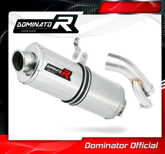 BW067DA-H Dominator homologated exhaust silencer oval