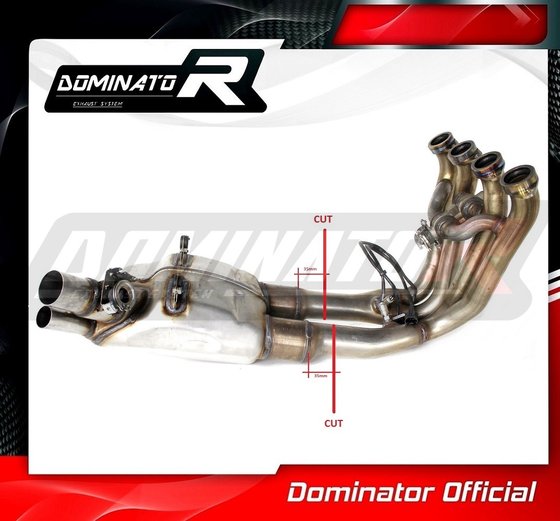 BW069D Dominator exhaust cat eliminator decat