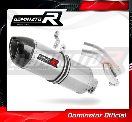 BW067DF-H Dominator homologated exhaust silencer hp1