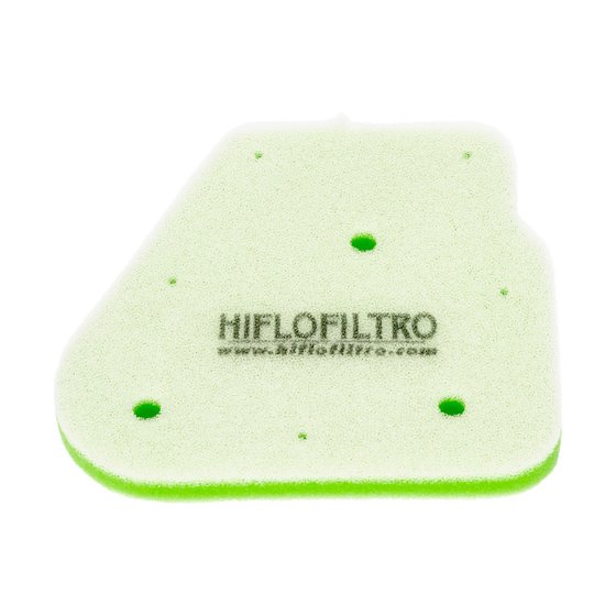 HFA4001DS Hiflofiltro oro filtras