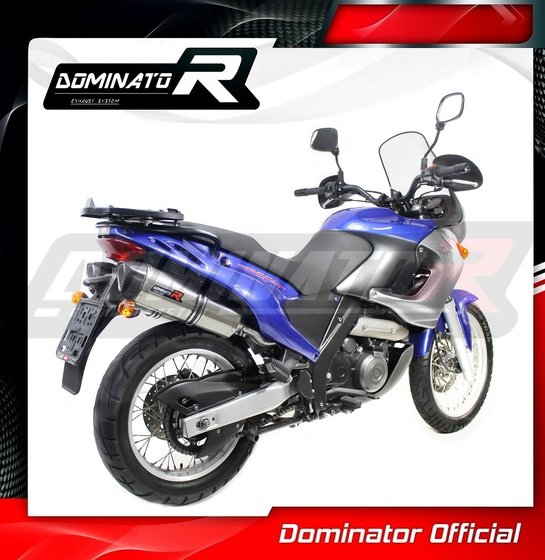 AP021DF-S Dominator exhaust silencer hp1