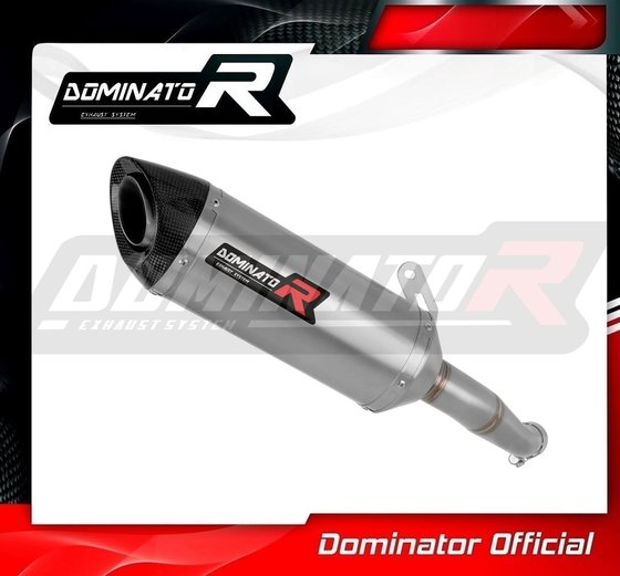 YA146DF-S Dominator exhaust silencer muffler hp8