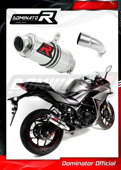 YA069DC-S Dominator exhaust silencer gp1