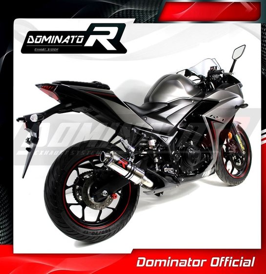 YA069DC-S Dominator exhaust silencer gp1