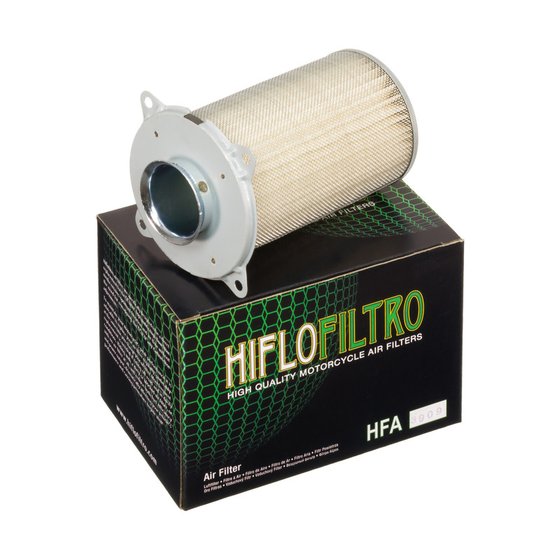 HFA3909 Hiflofiltro oro filtras