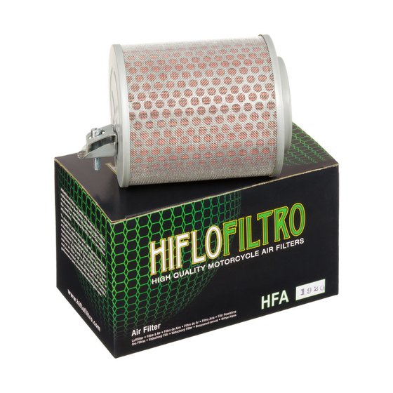 HFA1920 Hiflofiltro oro filtras