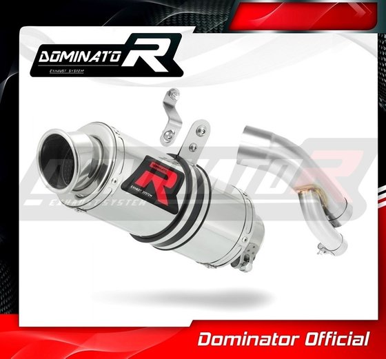 BW067DC-H Dominator homologated exhaust silencer gp1