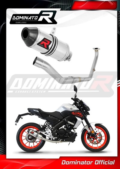 YA151DF-S Dominator full exhaust system silencer hp3