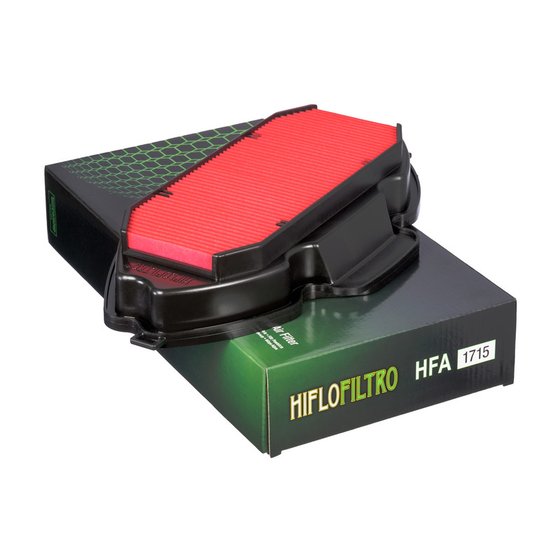 HFA1715 Hiflofiltro oro filtras