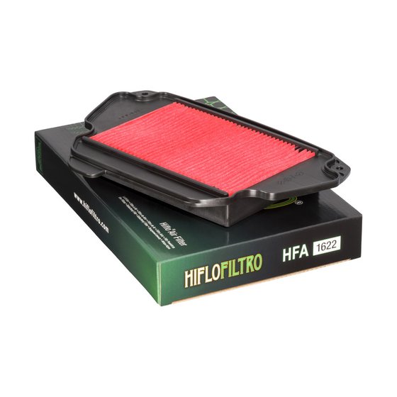 HFA1622 Hiflofiltro oro filtras