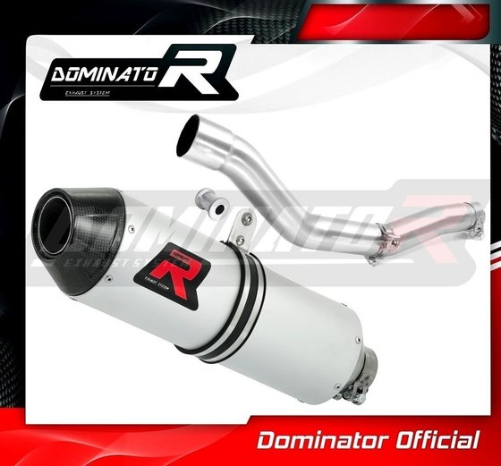 YA084DE-S Dominator exhaust silencer mx2