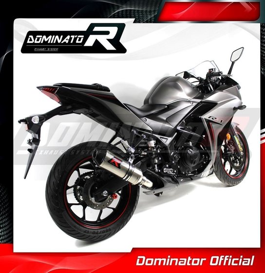 YA069DF-S Dominator exhaust silencer hp3