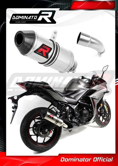 YA069DF-S Dominator exhaust silencer hp3