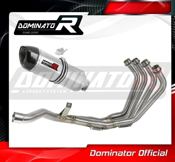 YA050DF-S Dominator exhaust full system silencer hp1