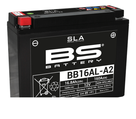 300839 BS BATTERY sla 12v 210 a akumuliatorius