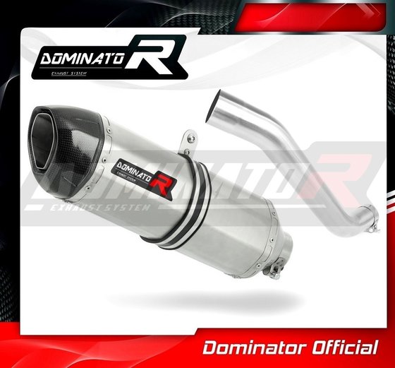 AP013DF-S Dominator exhaust silencer hp1