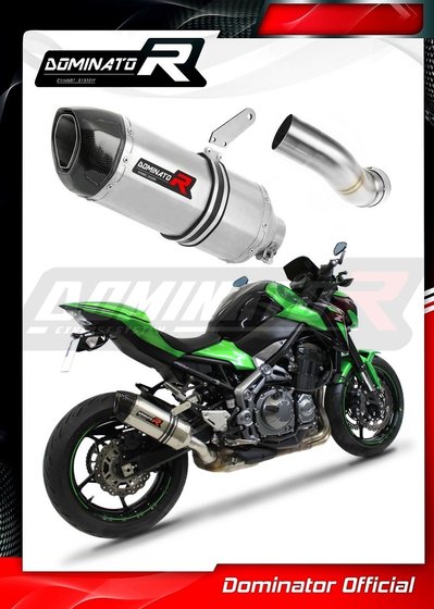 KA055DF-S Dominator exhaust silencer hp1