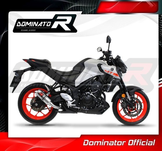 YA074DC-S Dominator exhaust silencer gp