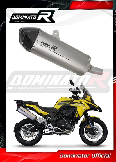 BE004DFT-S Dominator exhaust silencer muffler titanium hp7