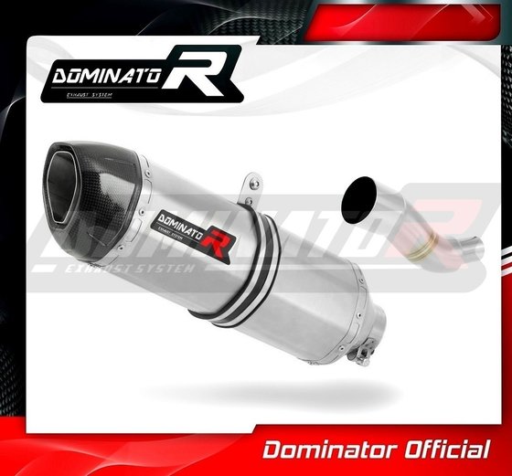 PG001DF-S Dominator exhaust silencer hp1