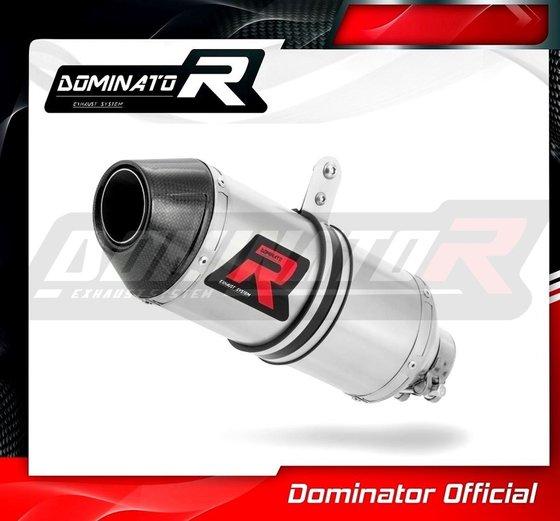 DU019DF-S Dominator exhaust silencer hp3