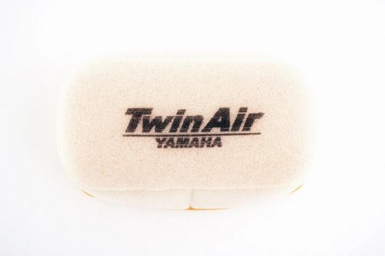 152602 TWIN AIR oro filtras