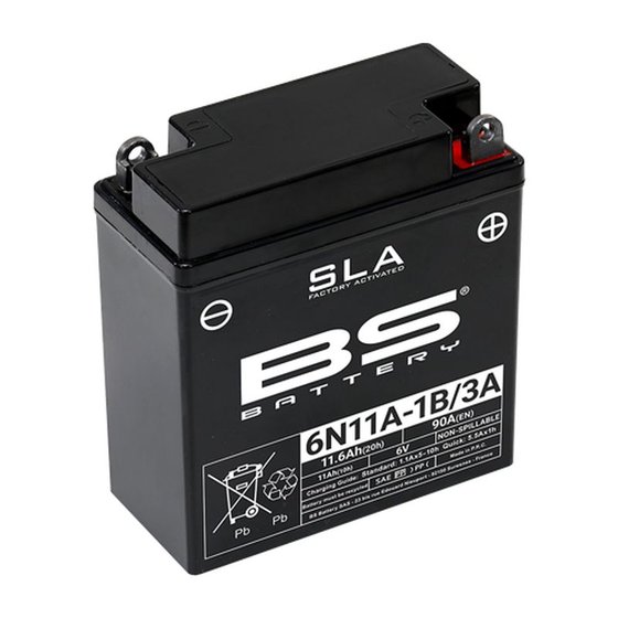 300915 BS BATTERY bs 6n11a-1b/3-a akumuliatorius