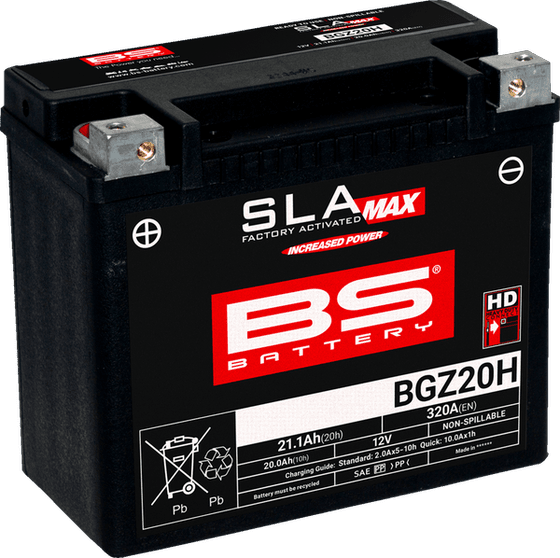 300933 BS BATTERY akumuliatorius bgz20h max