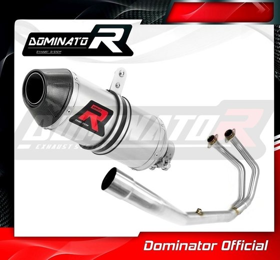 YA070DF-S Dominator exhaust full system silencer hp3