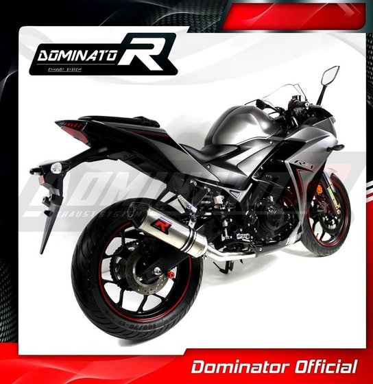 YA070DF-S Dominator exhaust full system silencer hp3