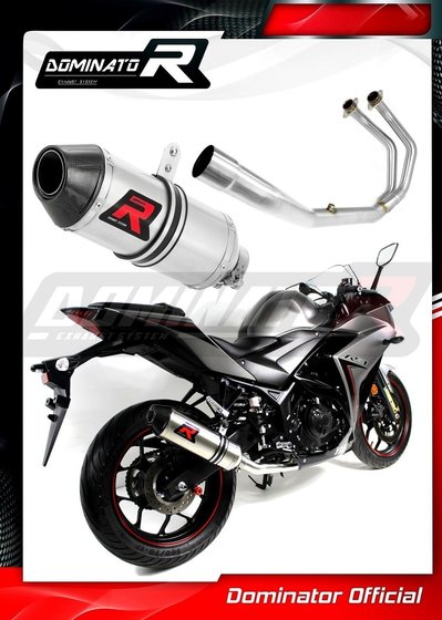 YA070DF-S Dominator exhaust full system silencer hp3