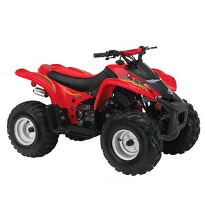 2002 - 2006 CAN AM DS 90 2T