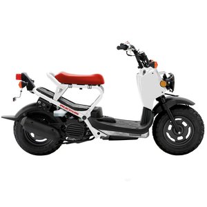 2003 - 2022 HONDA PS 50 RUCKUS