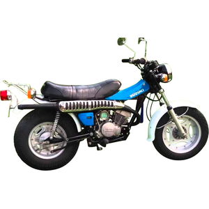 1977 - 1981 SUZUKI RV 125