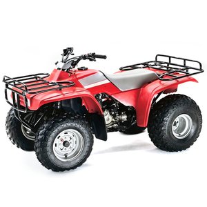 1993 - 2008 HONDA TRX 300 FW FOURTRAX