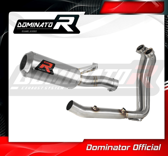 BW114DCFS-S Dominator full exhaust system silencer gp