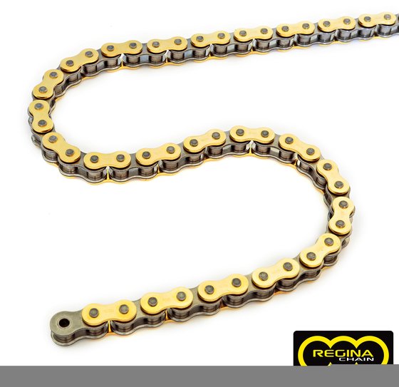 REGINA standard non-o-ring drive chain