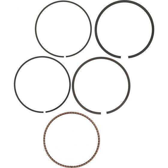 590368500001 Vertex piston ring