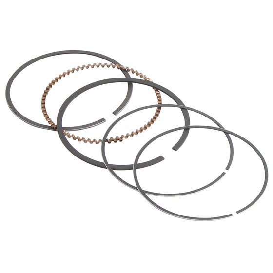 590368500001 Vertex piston ring