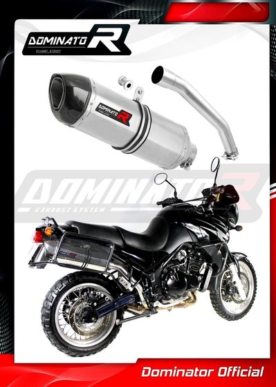 TR011DF-S Dominator exhaust silencer hp1