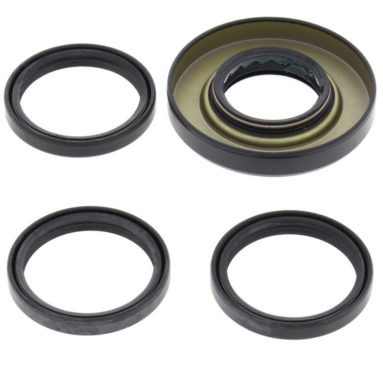 25-2009 All Balls differential bearing and seal kit rear